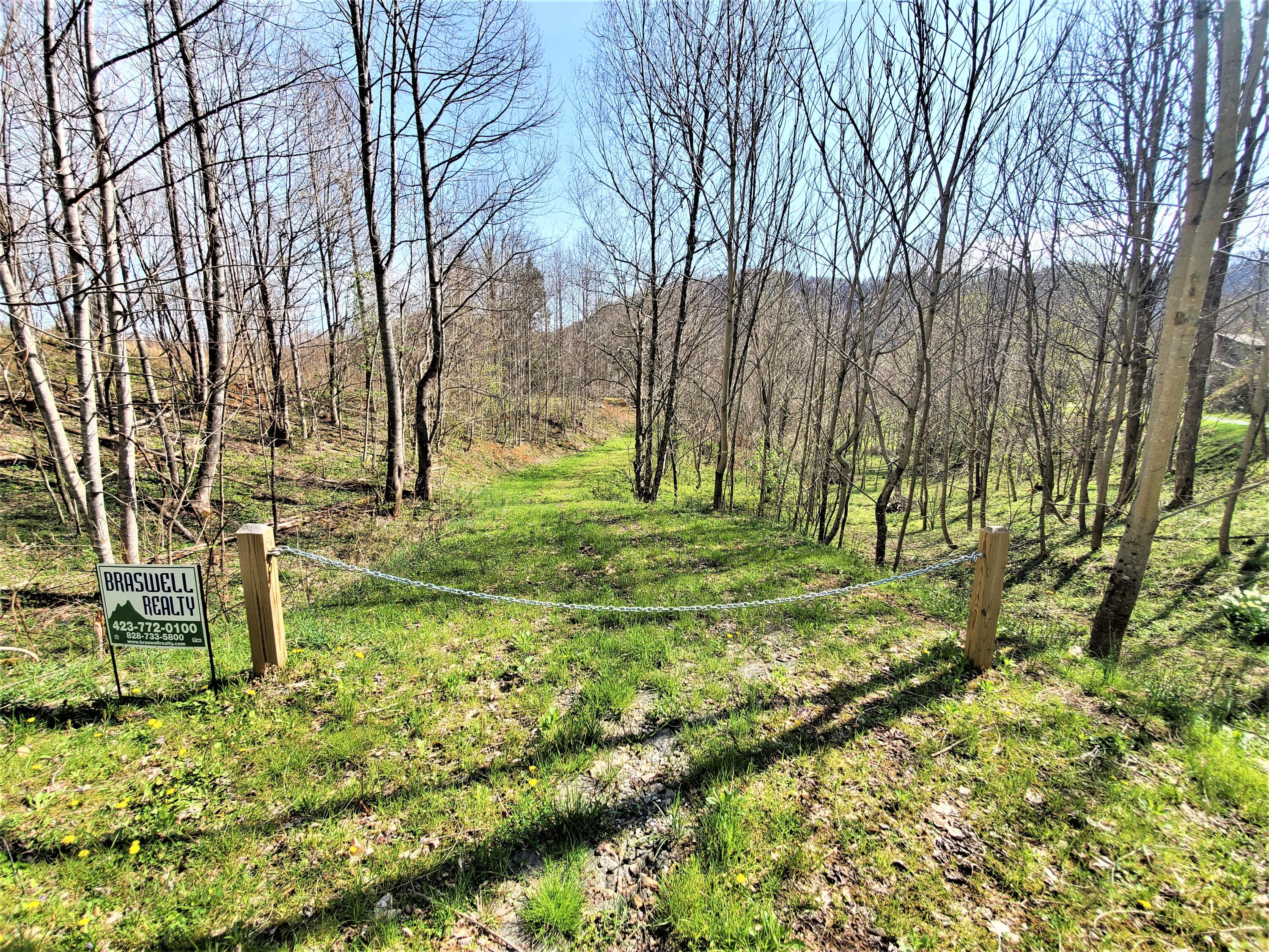 414 Eagle Ridge Road, Unit 23 Roan Mountain, TN 37687 - Photo 29 of 31 20210413_102724