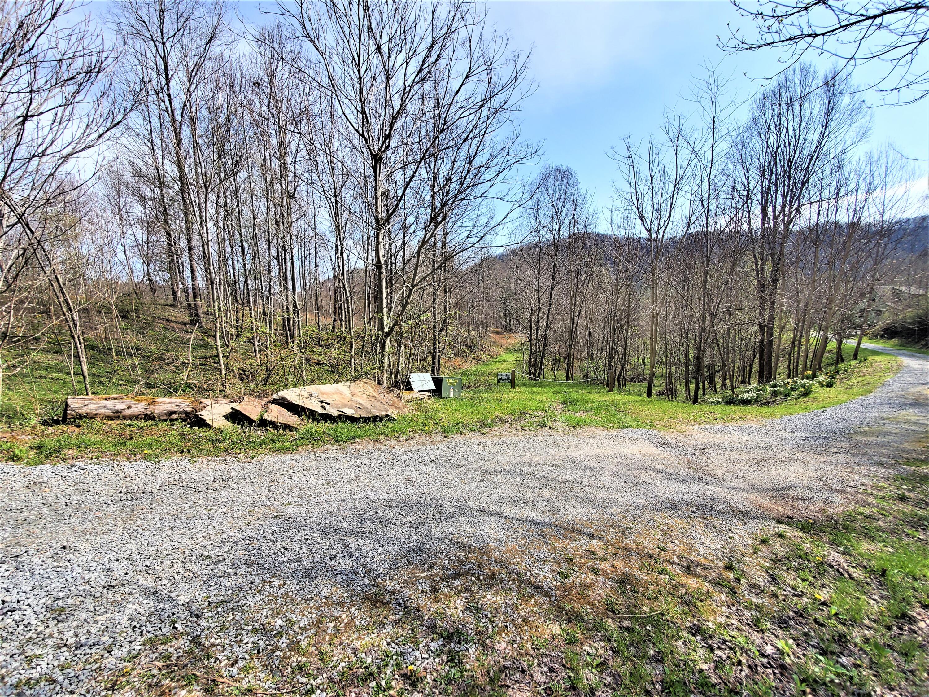 414 Eagle Ridge Road, Unit 23 Roan Mountain, TN 37687 - Photo 30 of 31 20210413_103018
