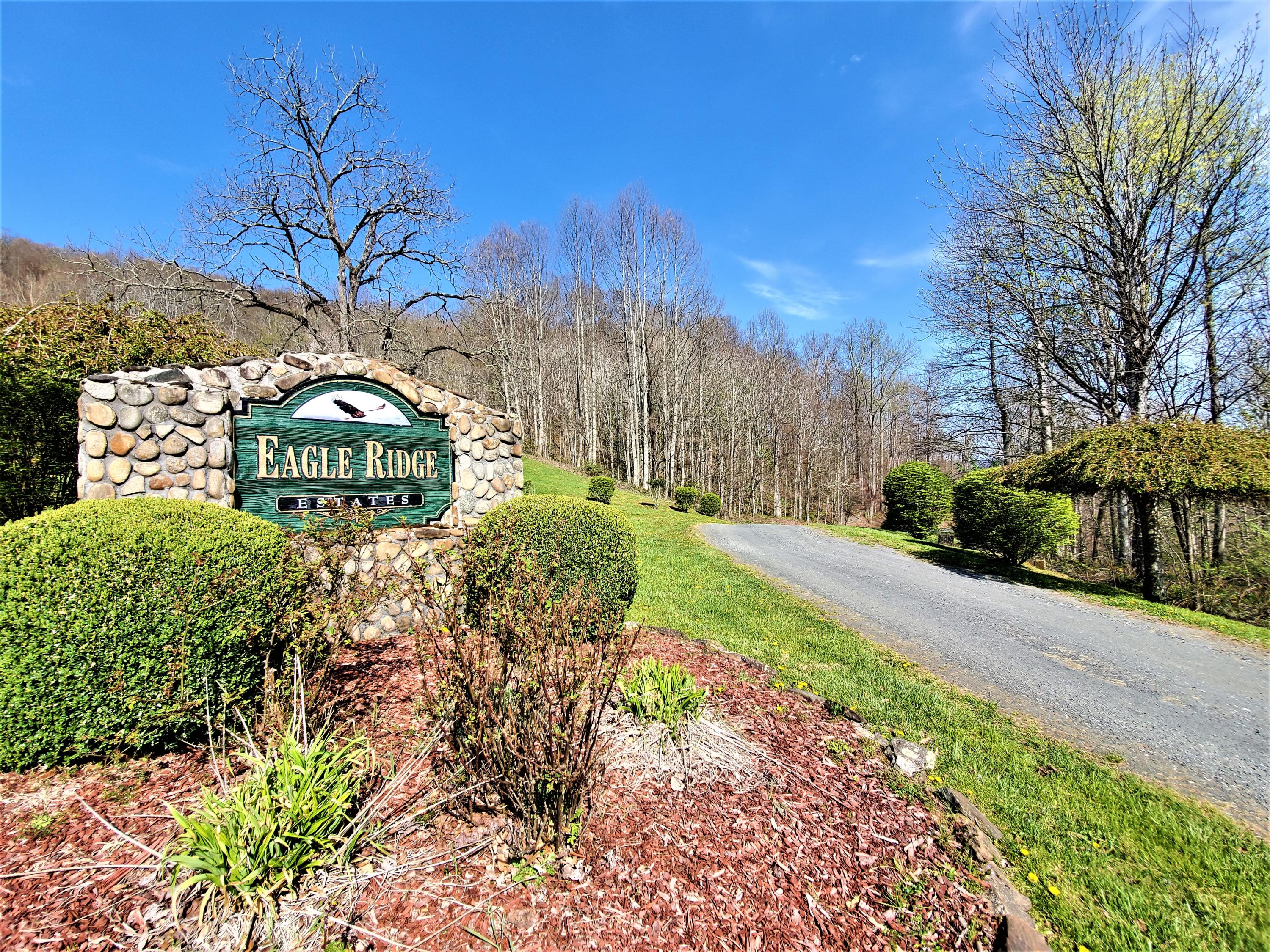 414 Eagle Ridge Road, Unit 23 Roan Mountain, TN 37687 - Photo 3 of 31 20210413_103527