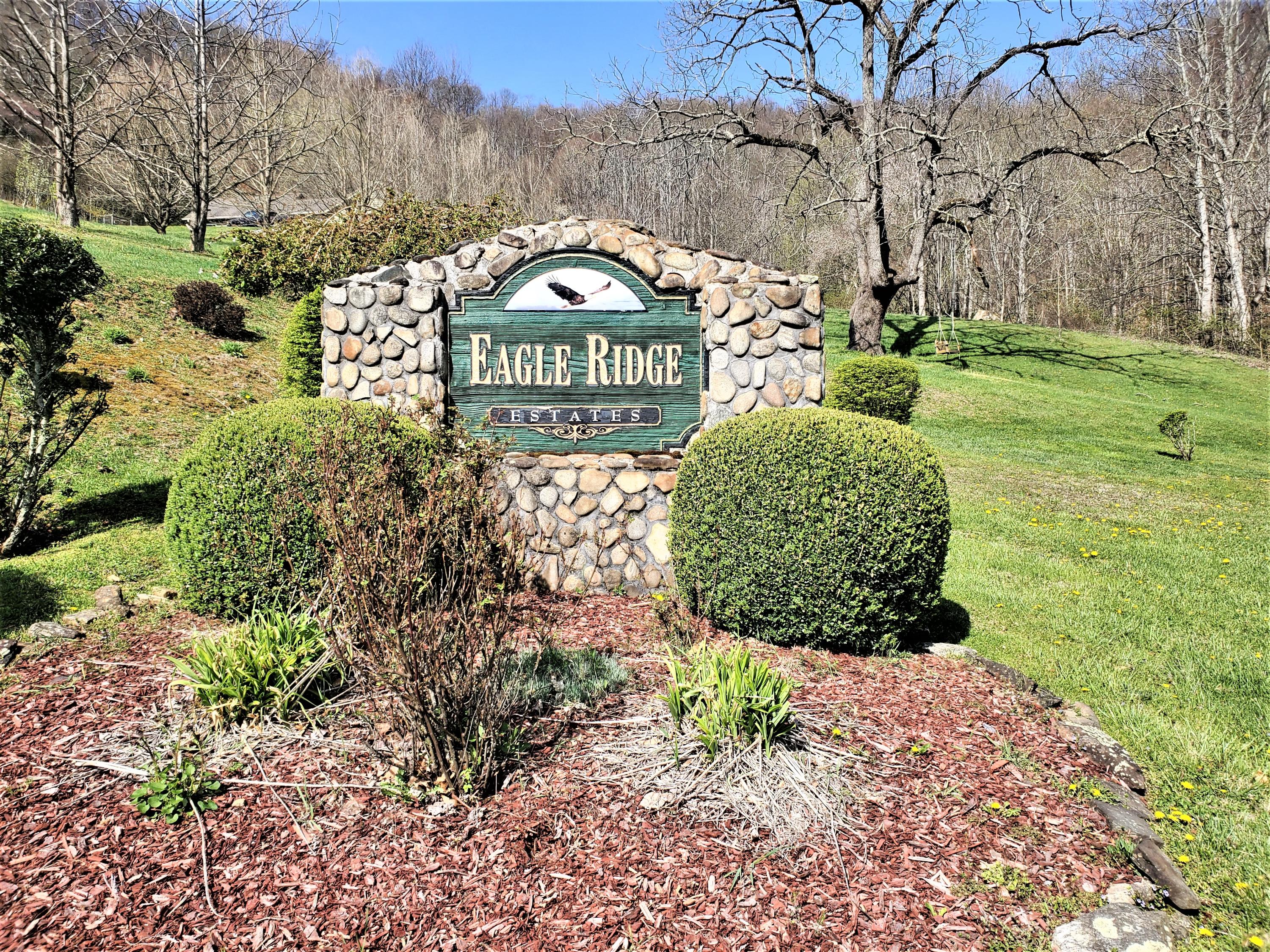 414 Eagle Ridge Road, Unit 23 Roan Mountain, TN 37687 - Photo 31 of 31 20210413_103512