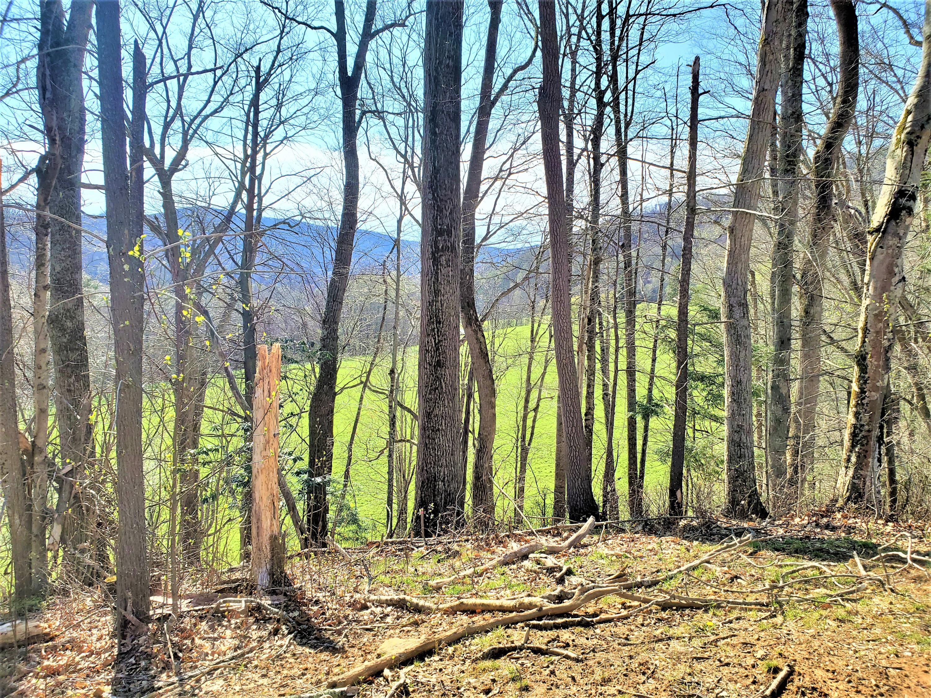 414 Eagle Ridge Road, Unit 23 Roan Mountain, TN 37687 - Photo 4 of 31 20210413_102212