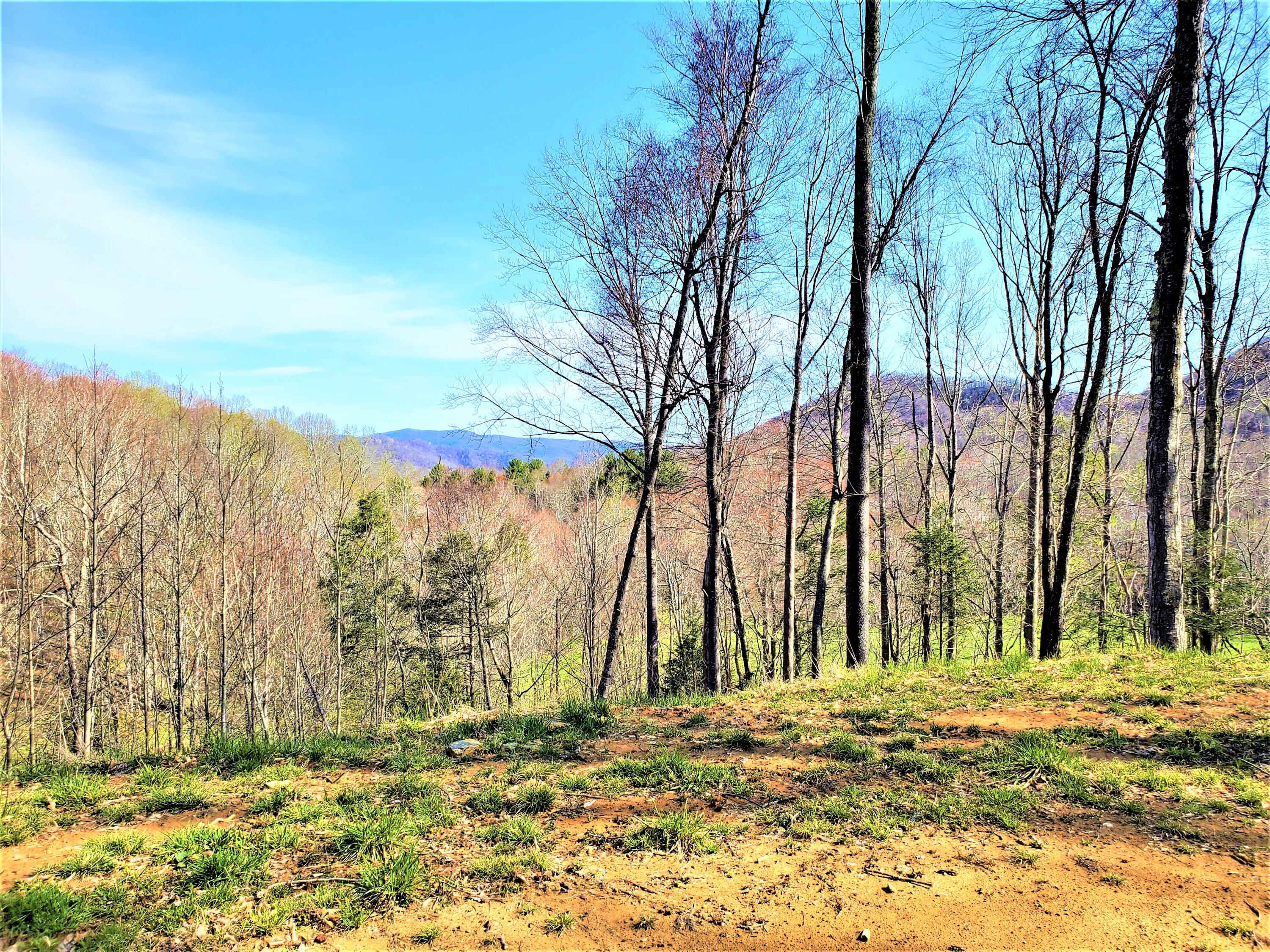 414 Eagle Ridge Road, Unit 23 Roan Mountain, TN 37687 - Photo 5 of 31 20210413_102139