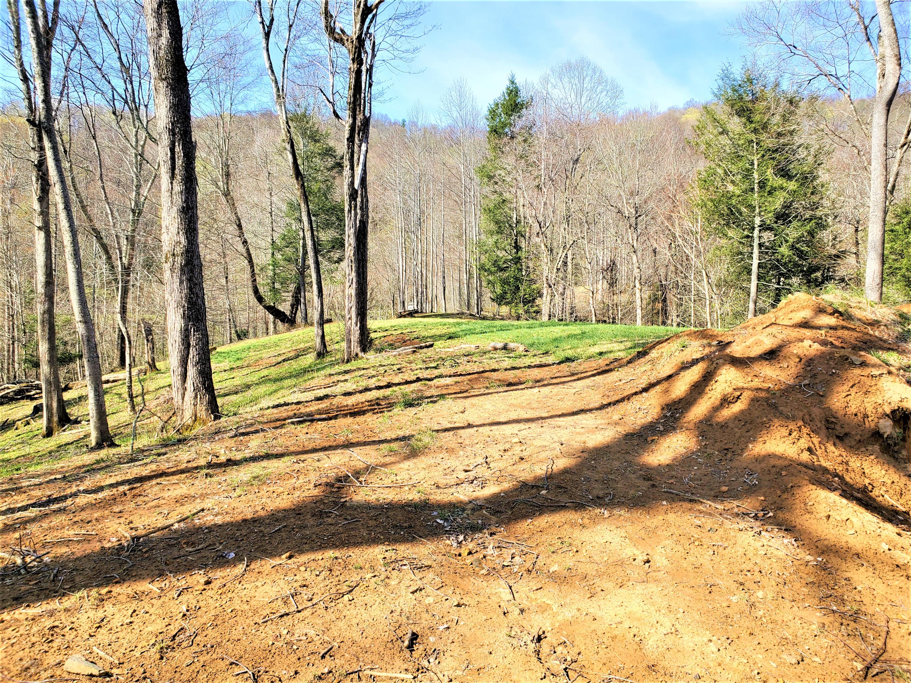 414 Eagle Ridge Road, Unit 23 Roan Mountain, TN 37687 - Photo 6 of 31 20210413_102226