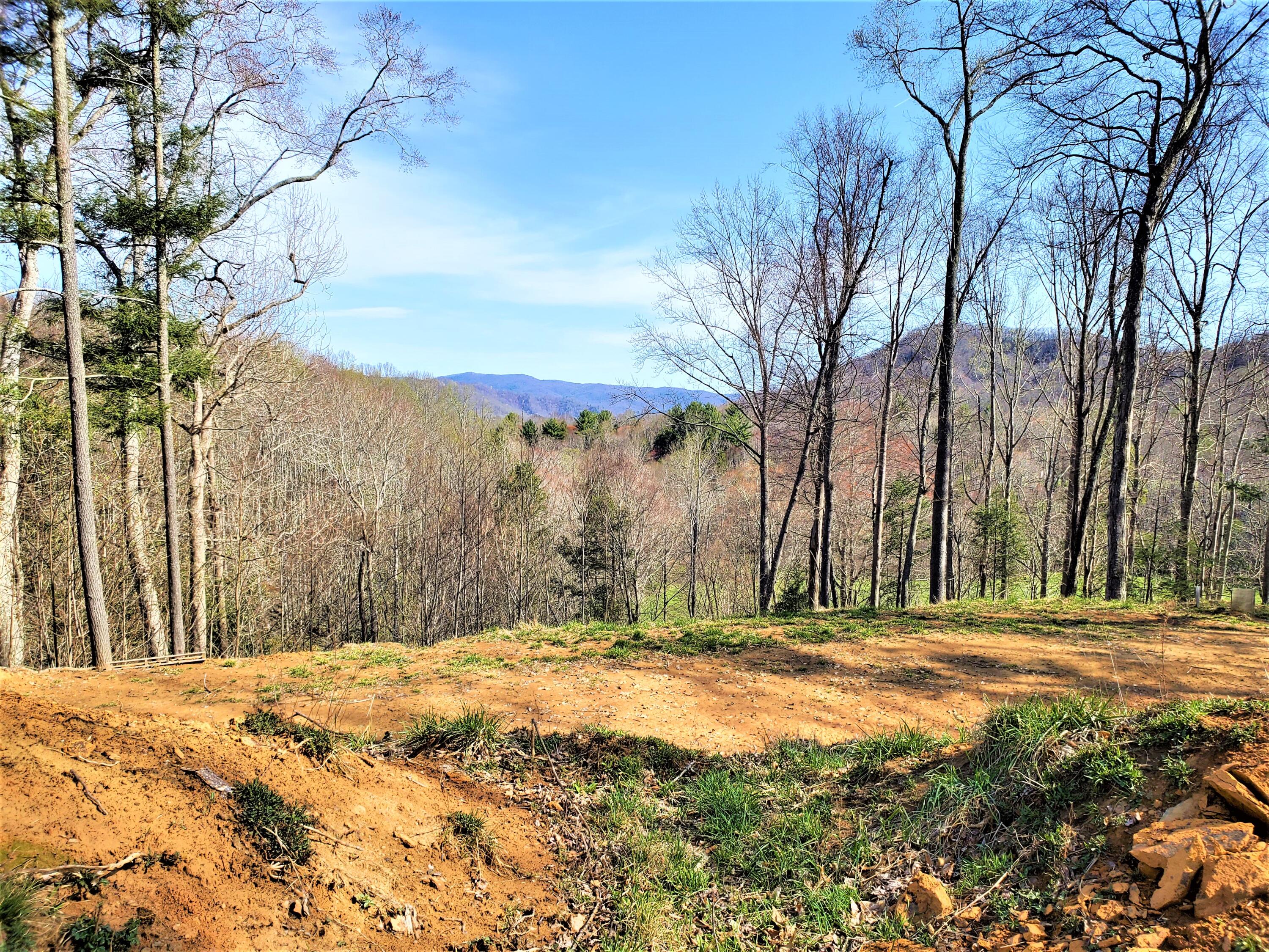 414 Eagle Ridge Road, Unit 23 Roan Mountain, TN 37687 - Photo 7 of 31 20210413_102303