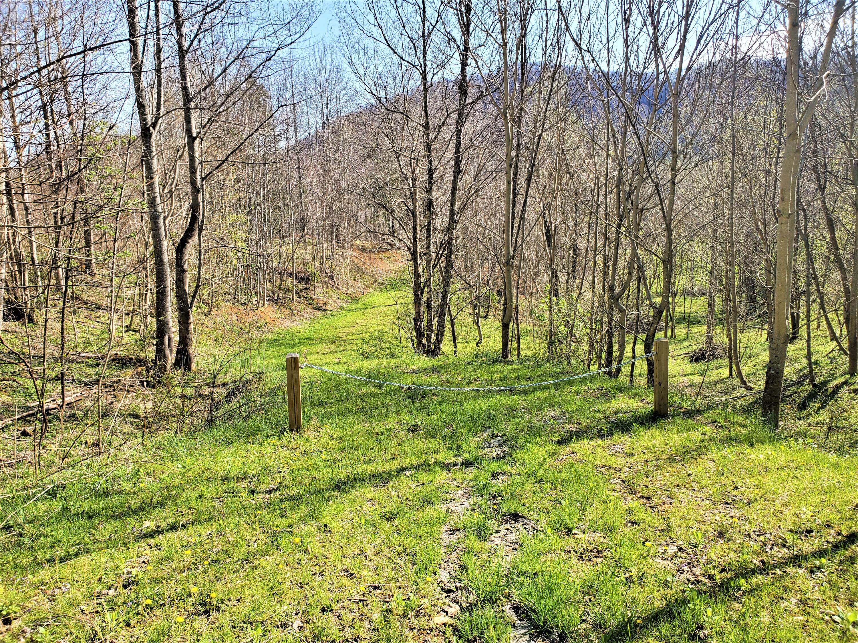 414 Eagle Ridge Road, Unit 23 Roan Mountain, TN 37687 - Photo 8 of 31 20210413_101420