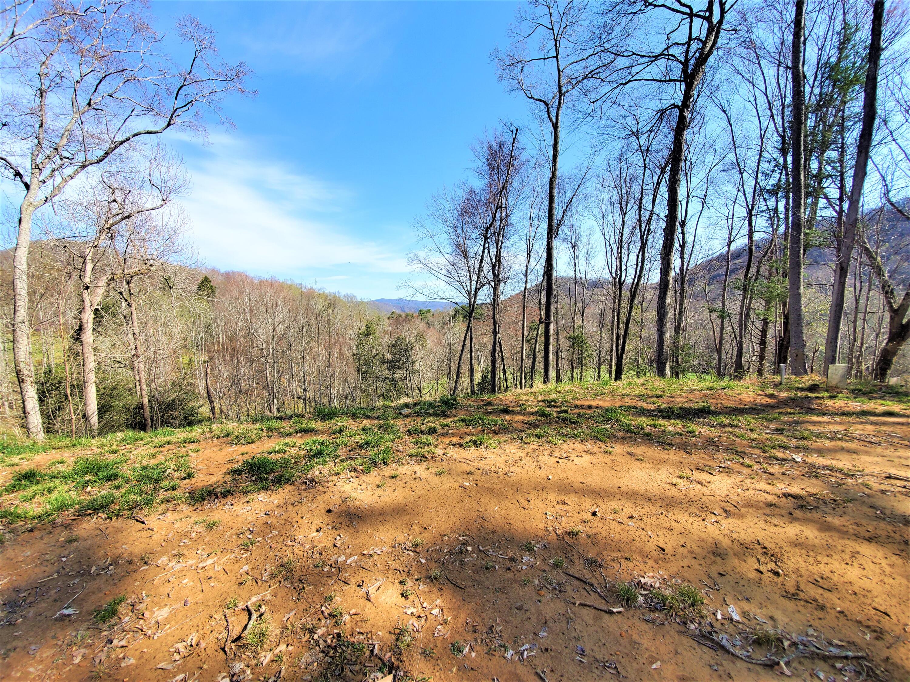 414 Eagle Ridge Road, Unit 23 Roan Mountain, TN 37687 - Photo 9 of 31 20210413_102132