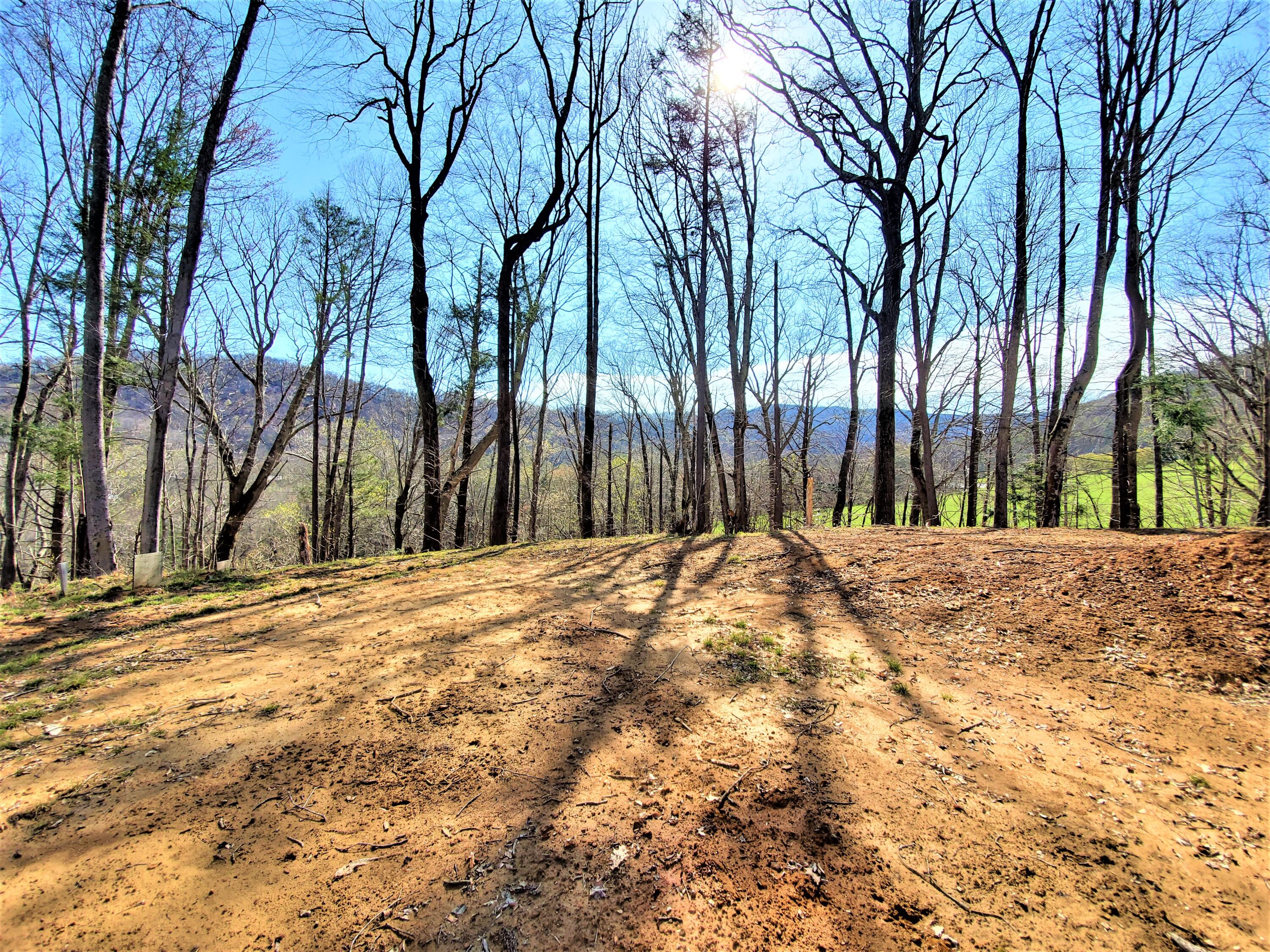 414 Eagle Ridge Road, Unit 23 Roan Mountain, TN 37687 - Photo 10 of 31 20210413_102145