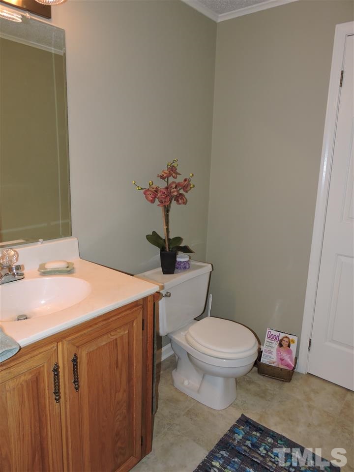 250 Kiser Hicks Road Roxboro, NC 27574 - Photo 9 of 19 a bathroom with a sink toilet and a mirror
