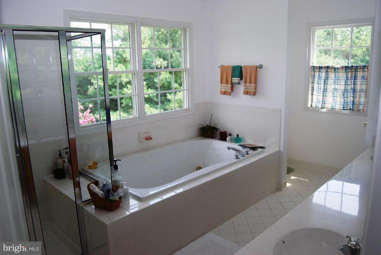 23221 Davis Mill Road Germantown, MD 20876 - Photo 12 of 16 Master Bath