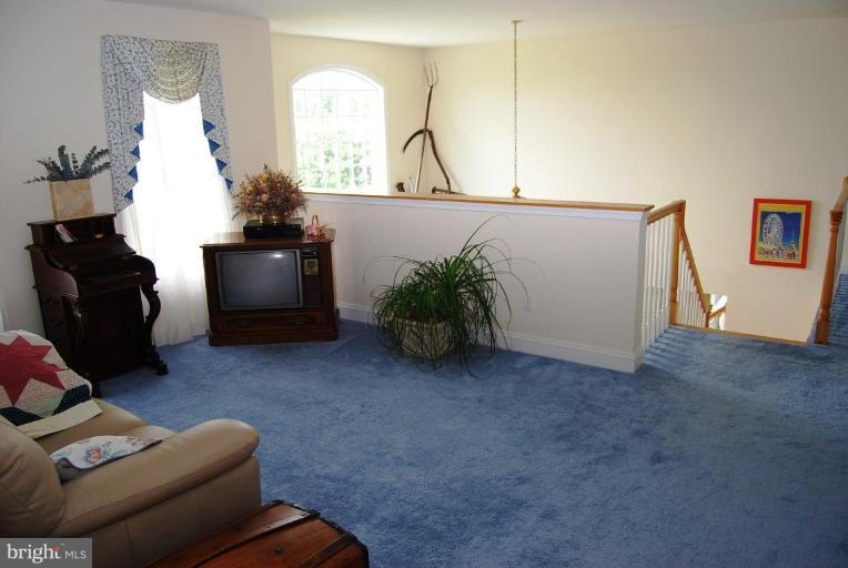 23221 Davis Mill Road Germantown, MD 20876 - Photo 13 of 16 Family Room #2