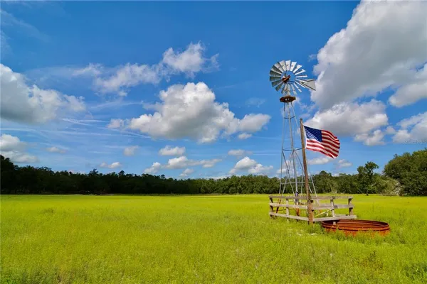 a view of a green field with trees in the background