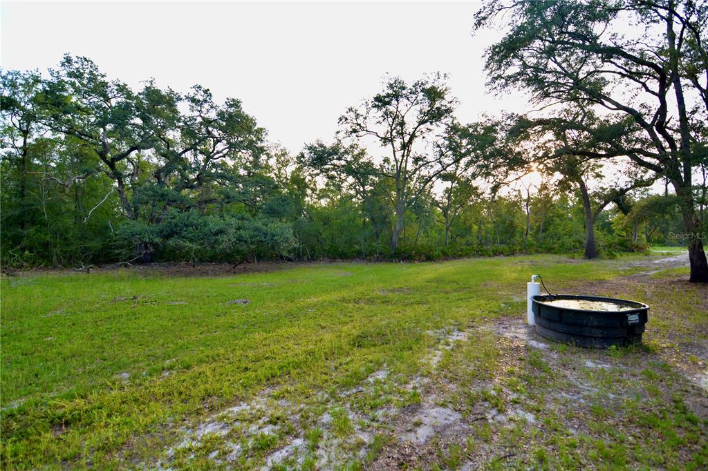2669 Northwest Suwannee Valley Road White Springs, FL 32096 - Photo 12 of 66 a view of a yard with a bench