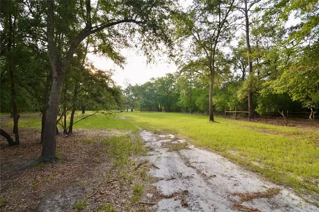a view of a field with trees