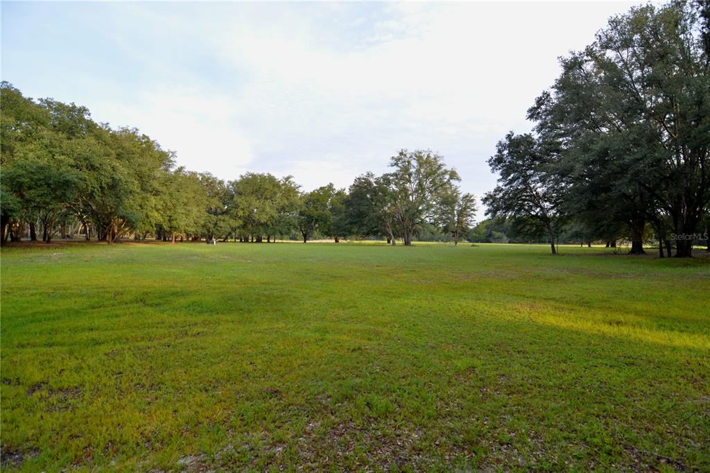 2669 Northwest Suwannee Valley Road White Springs, FL 32096 - Photo 14 of 66 a view of a grassy field with trees