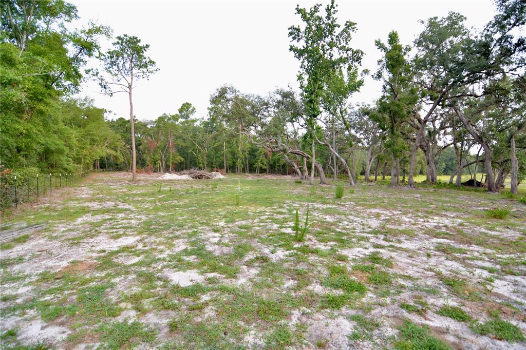 2669 Northwest Suwannee Valley Road White Springs, FL 32096 - Photo 18 of 66 a view of a field with trees
