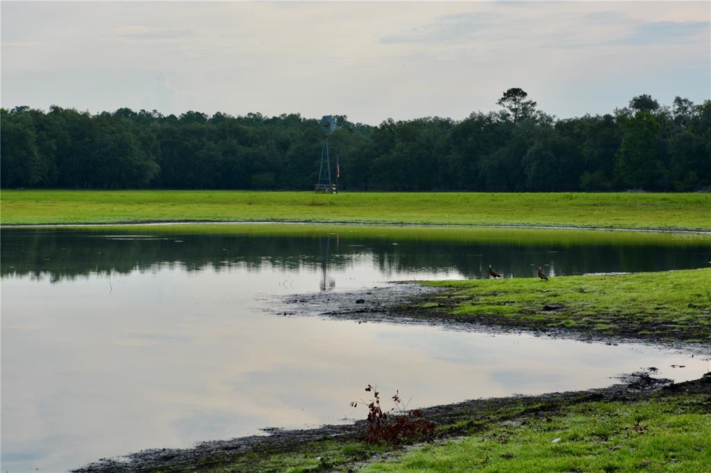 2669 Northwest Suwannee Valley Road White Springs, FL 32096 - Photo 20 of 66 a view of a lake