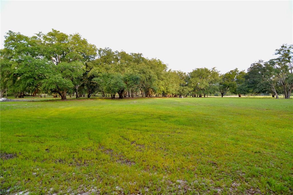 2669 Northwest Suwannee Valley Road White Springs, FL 32096 - Photo 2 of 66 a view of a green field with trees in the background