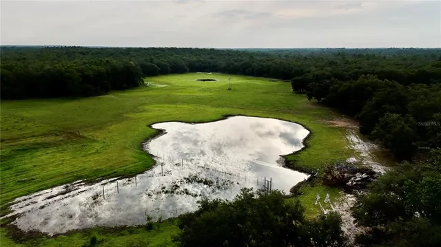 a wooden bench sitting in the middle of a forest