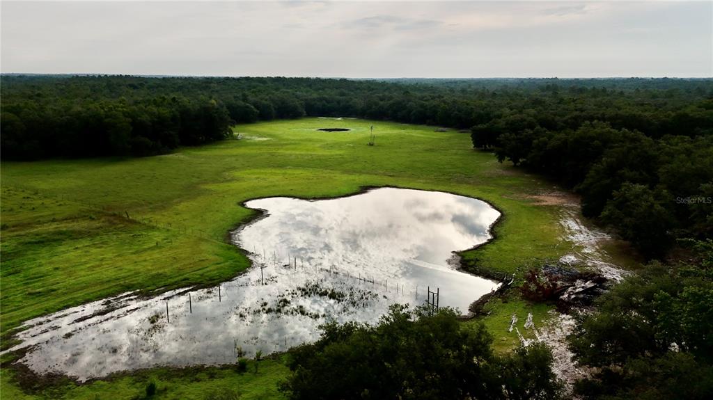 2669 Northwest Suwannee Valley Road White Springs, FL 32096 - Photo 21 of 66 a view of a water pond with green space