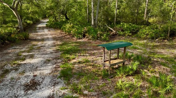 a view of outdoor space and trees
