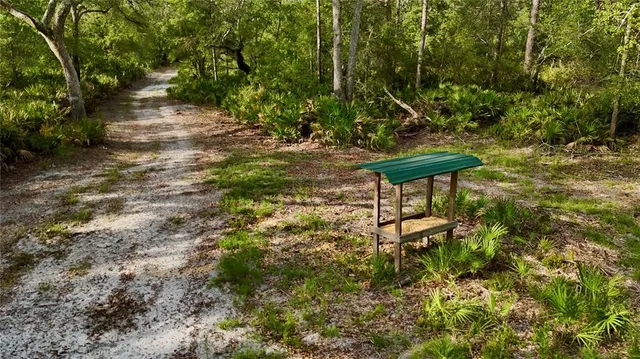 a view of outdoor space and trees