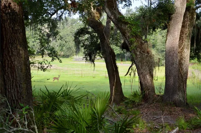 a backyard of a house with green space