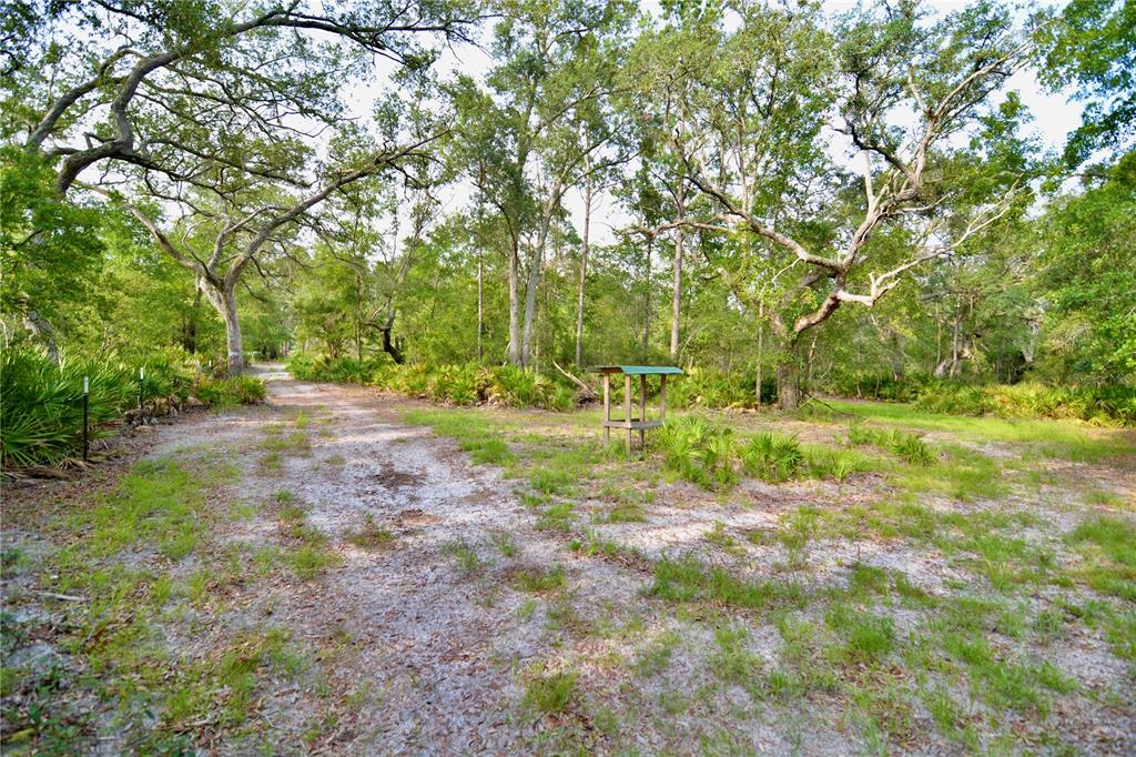 2669 Northwest Suwannee Valley Road White Springs, FL 32096 - Photo 29 of 66 a view of backyard with green space