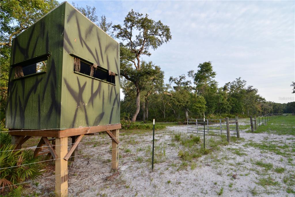 2669 Northwest Suwannee Valley Road White Springs, FL 32096 - Photo 4 of 66 a backyard of a house
