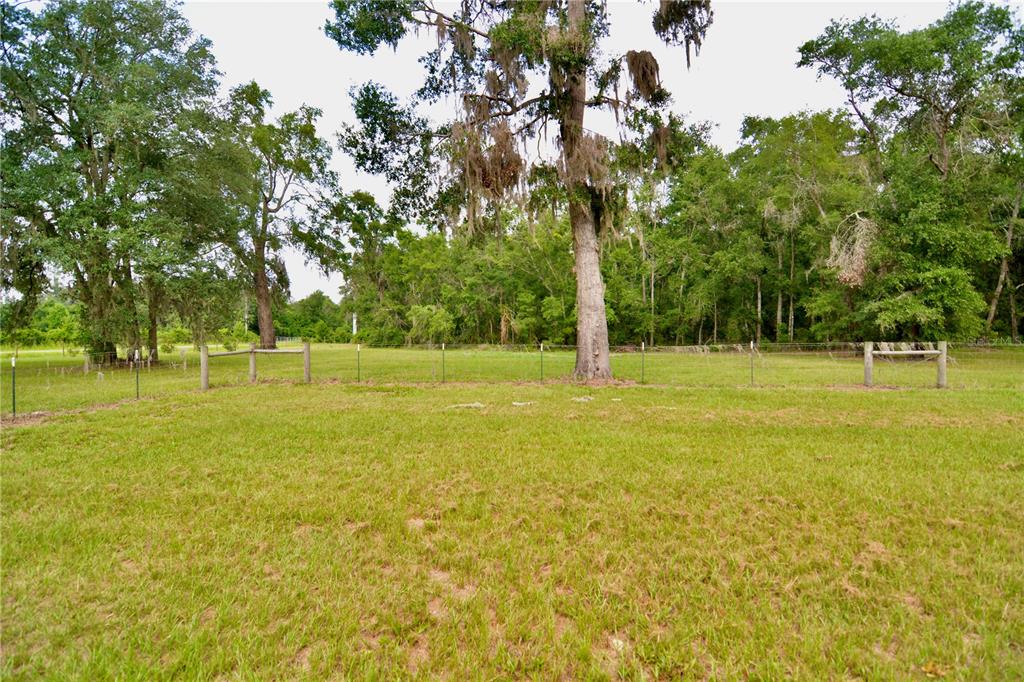 2669 Northwest Suwannee Valley Road White Springs, FL 32096 - Photo 46 of 66 a view of a trees with yard in front of it