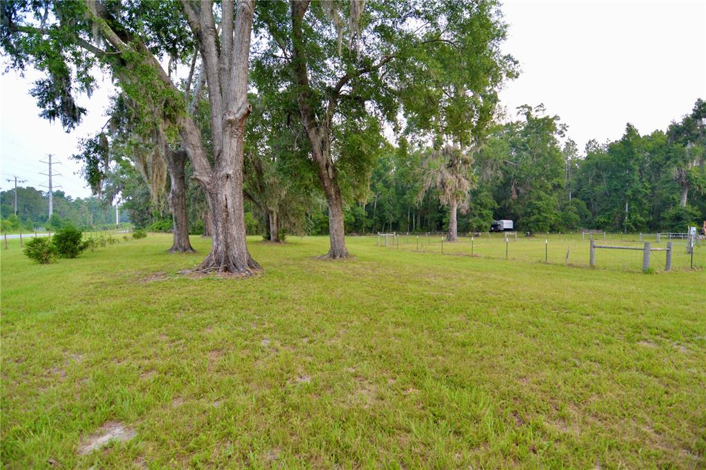 2669 Northwest Suwannee Valley Road White Springs, FL 32096 - Photo 48 of 66 a view of a field with a tree