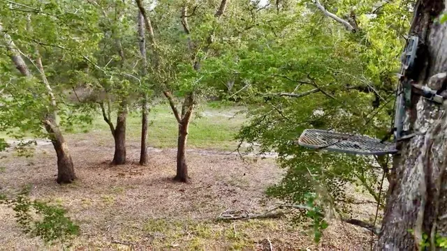 $999,999 | 2669 Northwest Suwannee Valley Road, White Springs, FL 32096