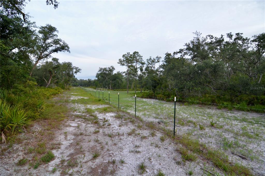 2669 Northwest Suwannee Valley Road White Springs, FL 32096 - Photo 6 of 66 a view of a park