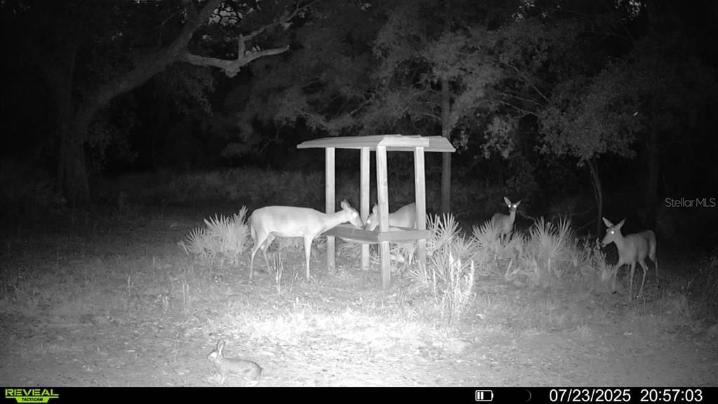 2669 Northwest Suwannee Valley Road White Springs, FL 32096 - Photo 61 of 66 a view of a outdoor space with a sink