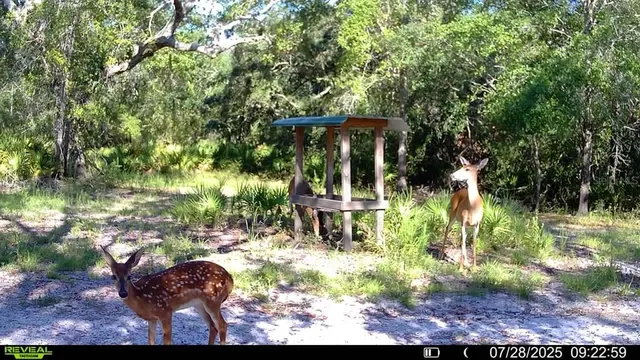 $999,999 | 2669 Northwest Suwannee Valley Road, White Springs, FL 32096