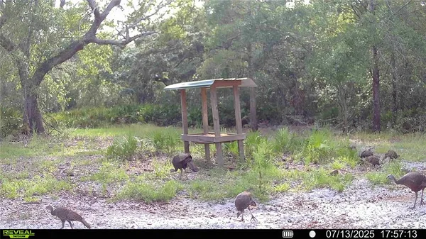 $999,999 | 2669 Northwest Suwannee Valley Road, White Springs, FL 32096