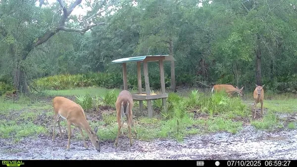 $999,999 | 2669 Northwest Suwannee Valley Road, White Springs, FL 32096