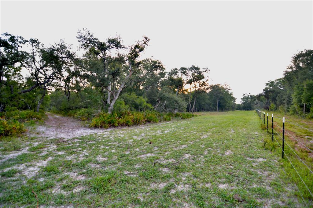 2669 Northwest Suwannee Valley Road White Springs, FL 32096 - Photo 8 of 66