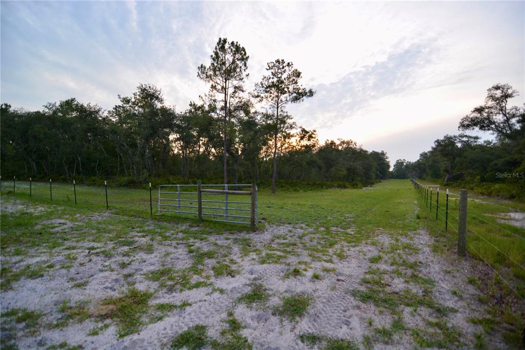 2669 Northwest Suwannee Valley Road White Springs, FL 32096 - Photo 10 of 66
