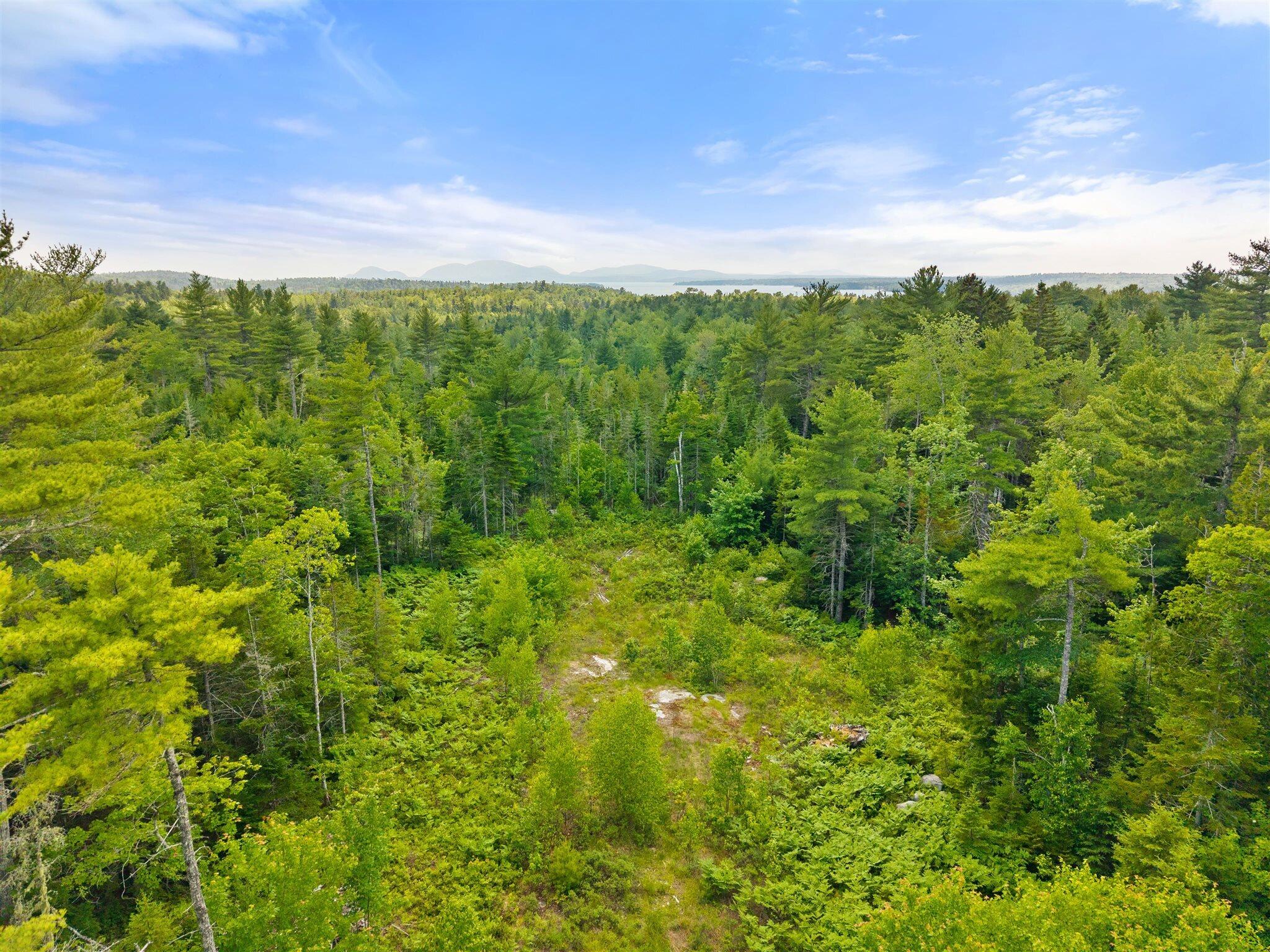 0 Catamount Road Sullivan, ME 04664 - Photo 20 of 23 20-Bert Gray Rd