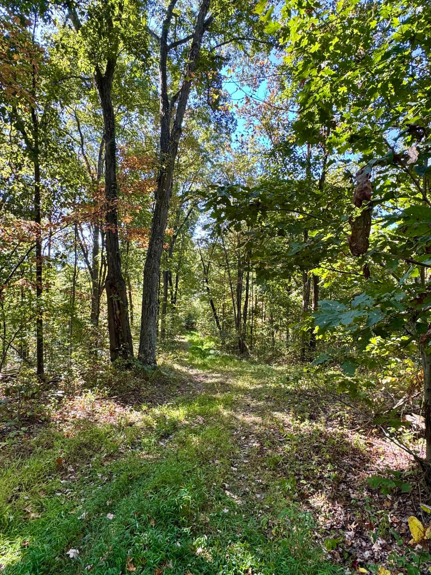 26501 Sowers Road McArthur, OH 45651 - Photo 60 of 64 7