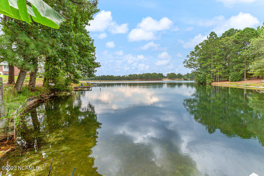 102 Firetree Lane West End, NC 27376 - Photo 4 of 32 102 Firetree-LR-JFP-22