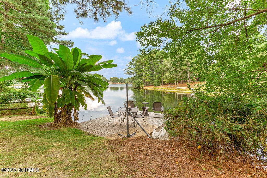 102 Firetree Lane West End, NC 27376 - Photo 5 of 32 102 Firetree-LR-JFP-20