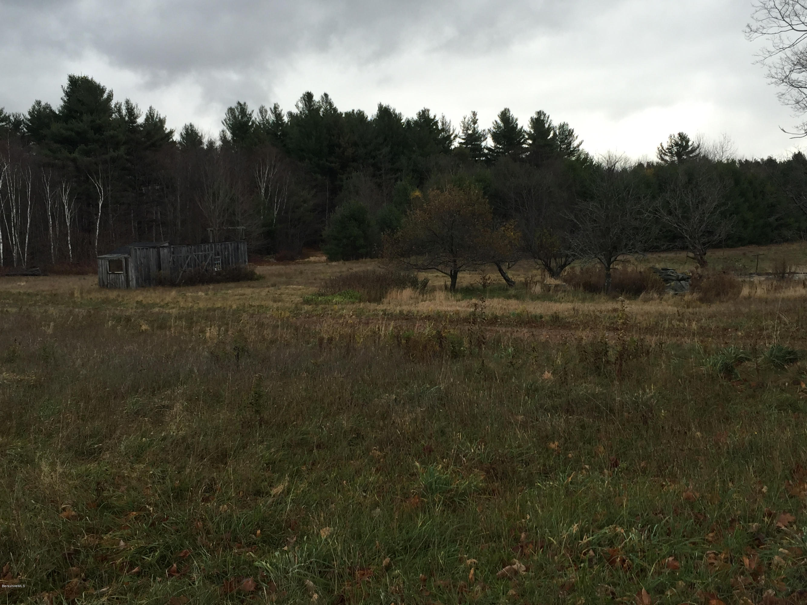 520 Shaw Road Windsor, MA 01270 - Photo 3 of 6 a view of outdoor space and yard