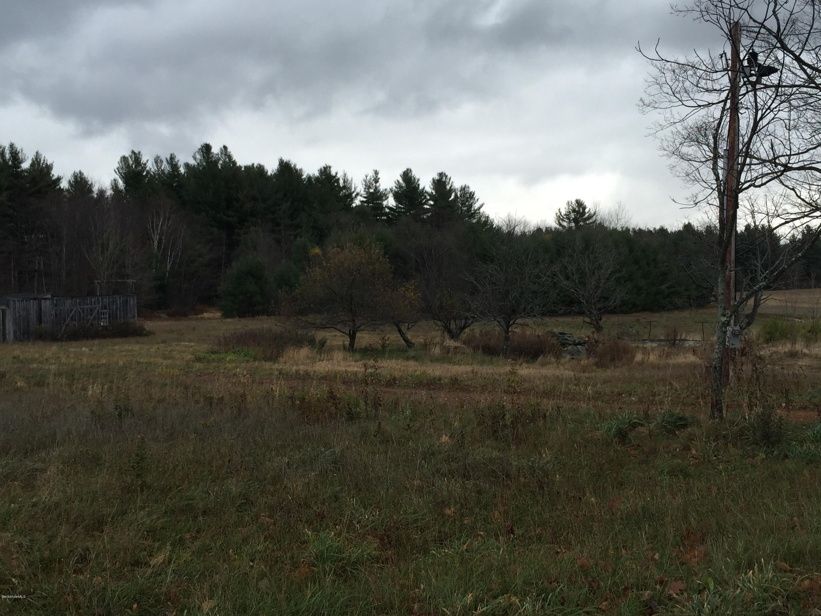 520 Shaw Road Windsor, MA 01270 - Photo 4 of 6 a view of outdoor space and yard