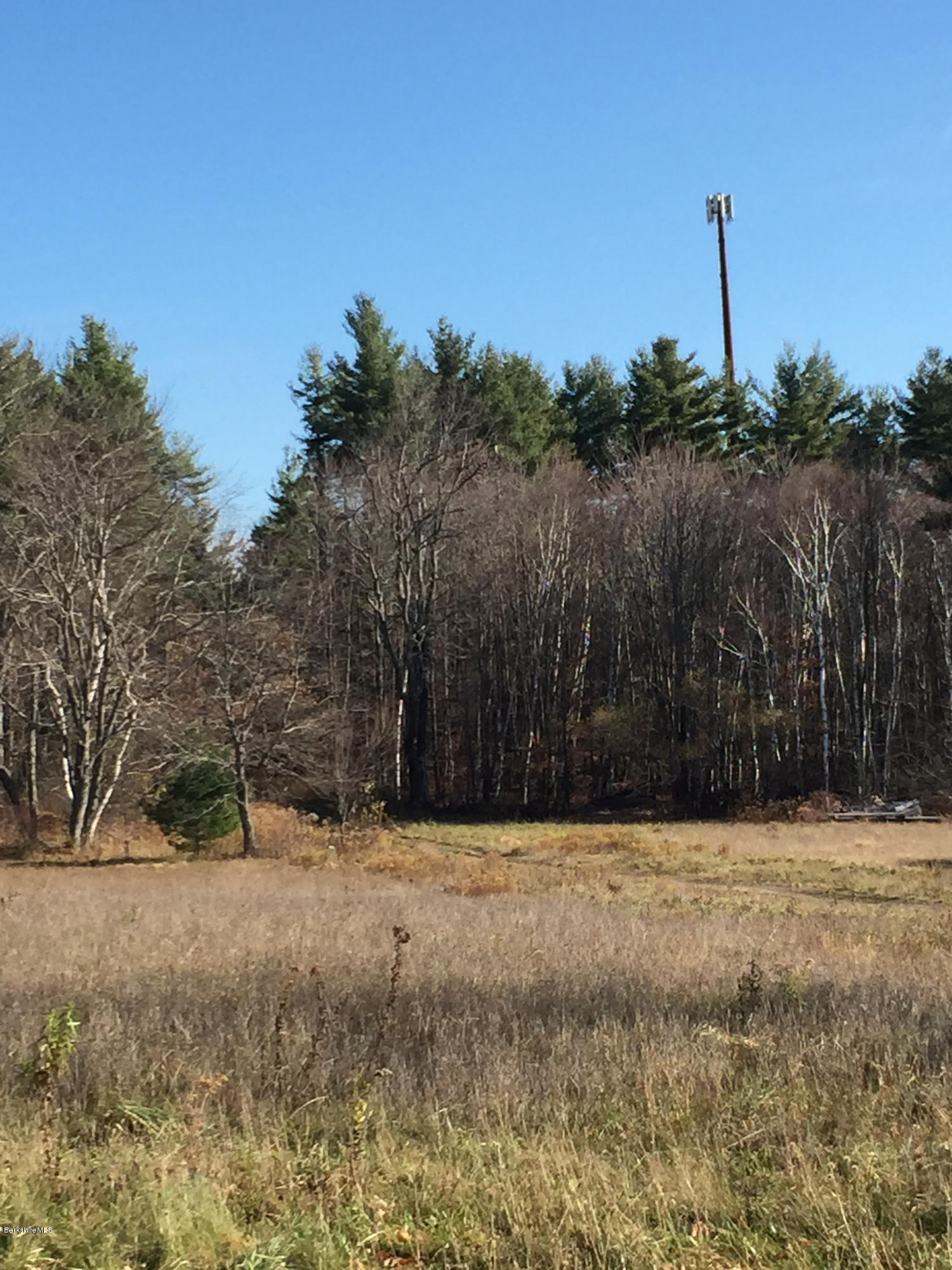 520 Shaw Road Windsor, MA 01270 - Photo 5 of 6 a view of a yard with a house