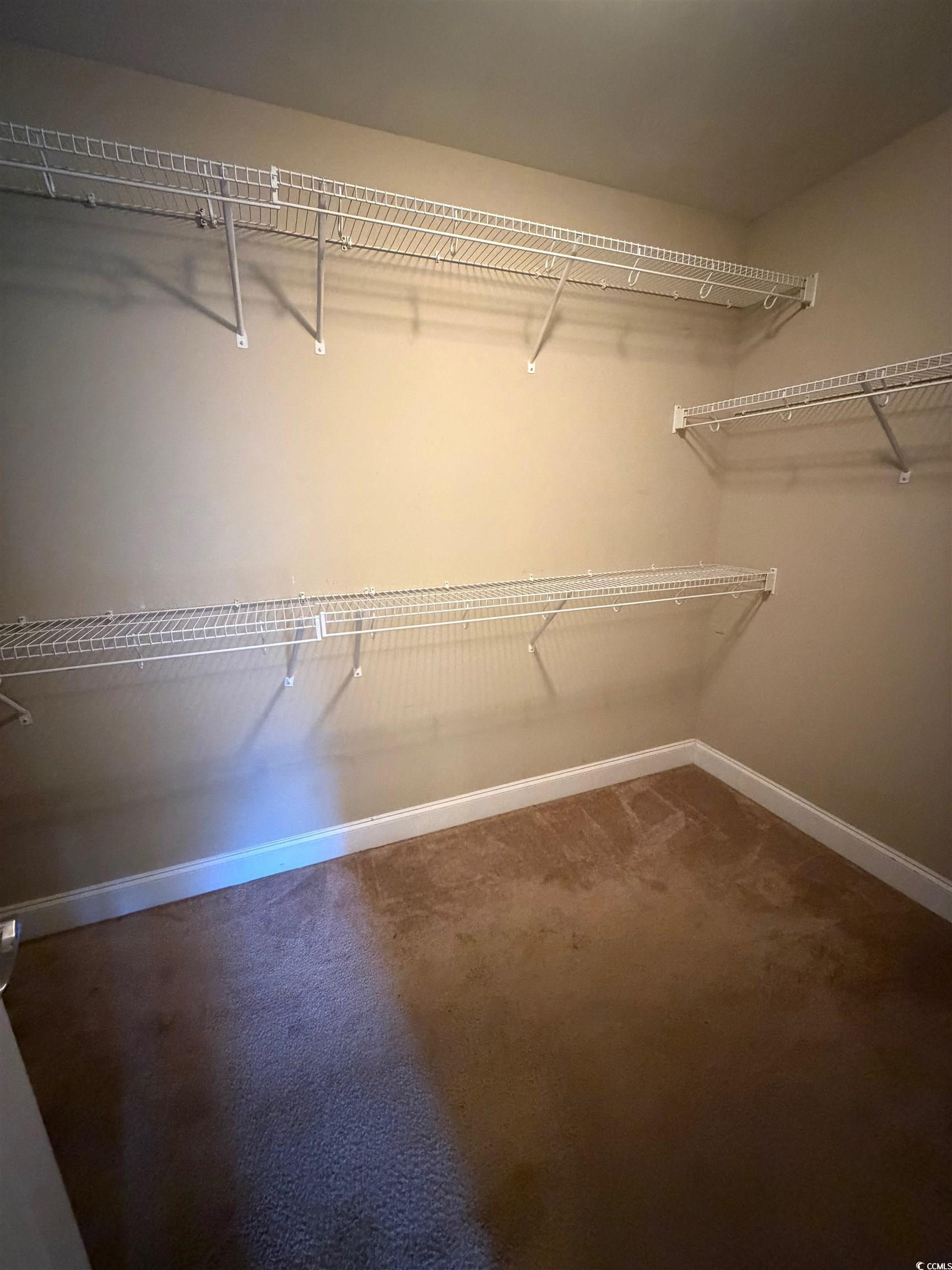 619 Uniola Drive Myrtle Beach, SC 29579 - Photo 12 of 22 Spacious closet with dark carpet