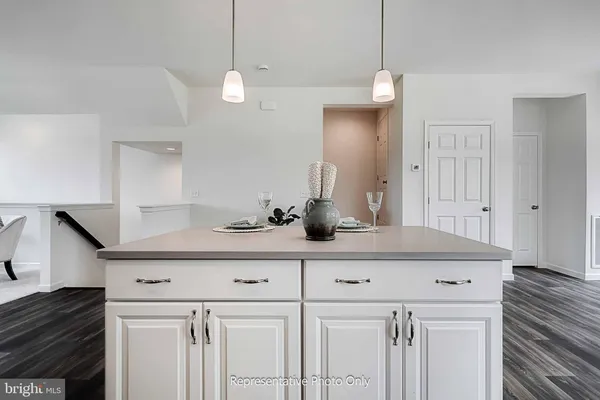 a kitchen with a sink a potted plant and cabinets
