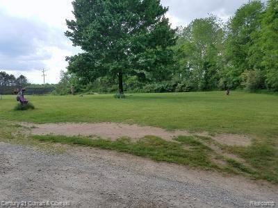 4659 West Carleton Road Adrian, MI 49221 - Photo 18 of 37 front yard.jpg