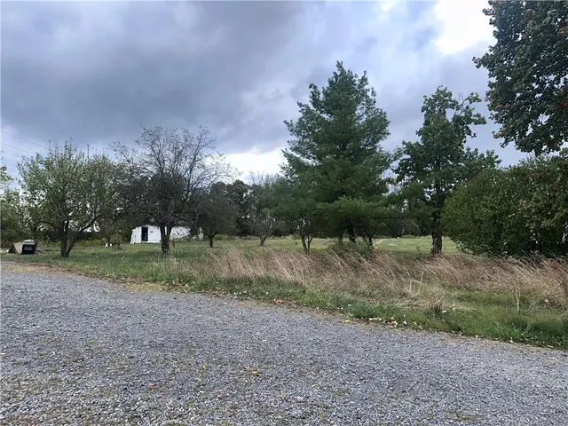 a view of a trees in a yard