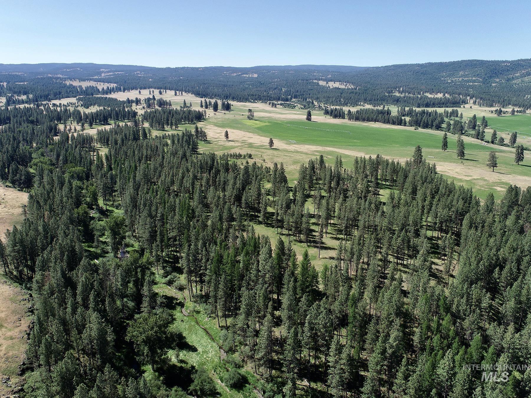 55959 Highway 244 La Grande, OR 97850 - Photo 5 of 49